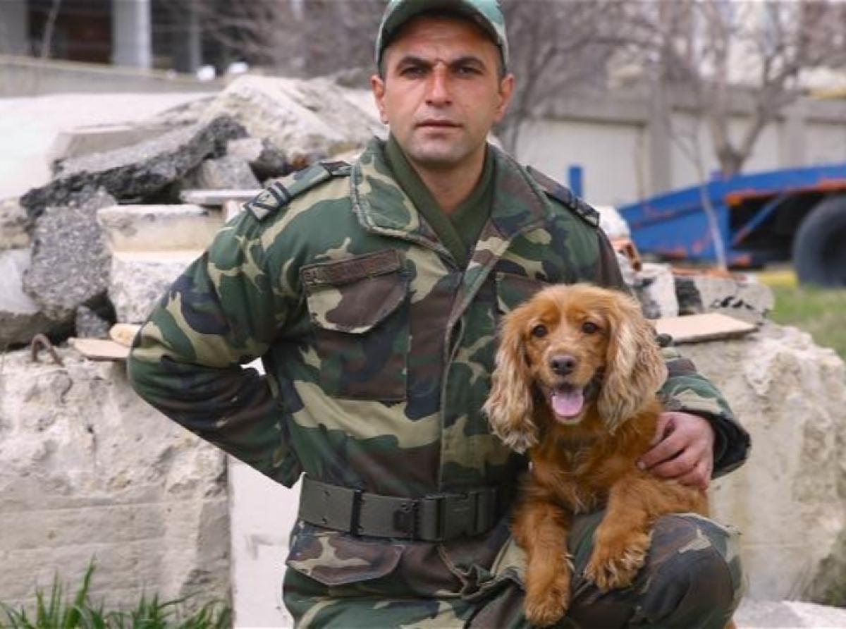 Juna, a Cocker spaniel from Azerbaijan, helped save three people